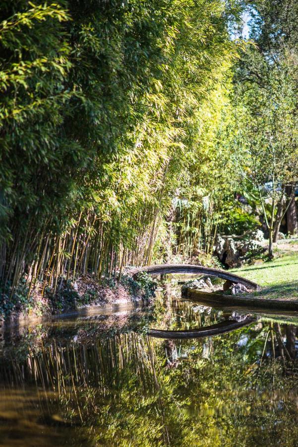 Domaine D'Auriac - Relais & Chateaux قرقشونه المظهر الخارجي الصورة